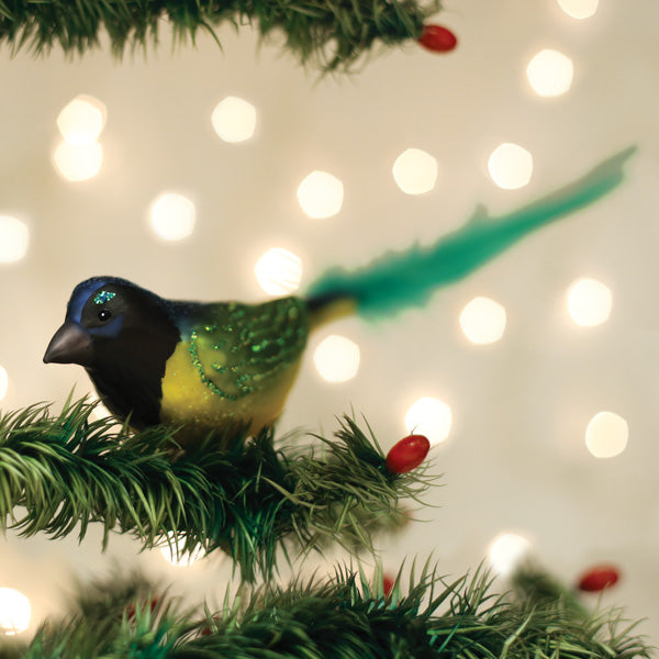 Green Jay Ornament