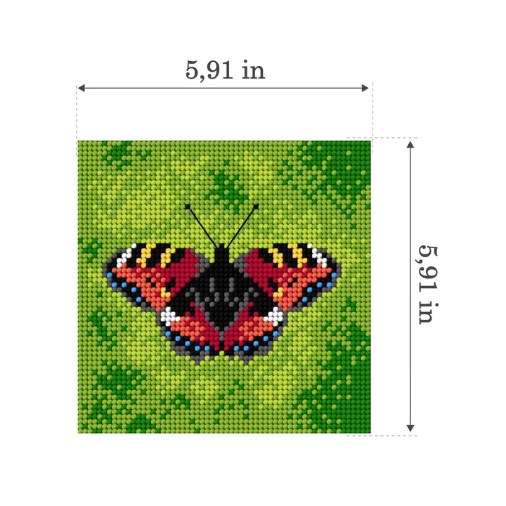 Gobelin canvas for halfstitch without yarn Common Blue Butterfly