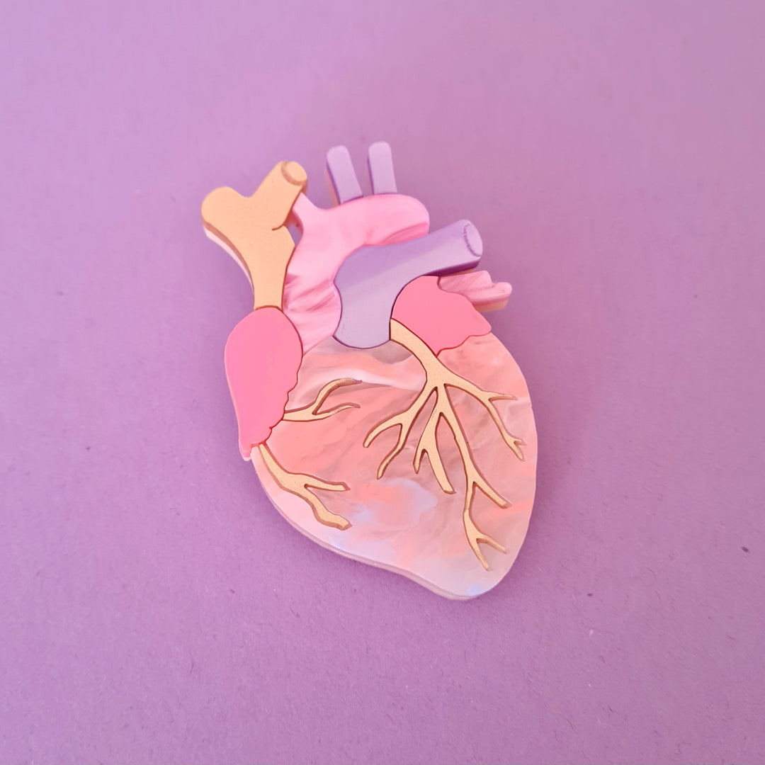 Pastel Anatomical Heart Brooch or Necklace