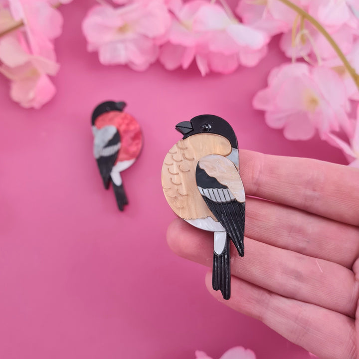 Bullfinch Pin Brooch or Pendant