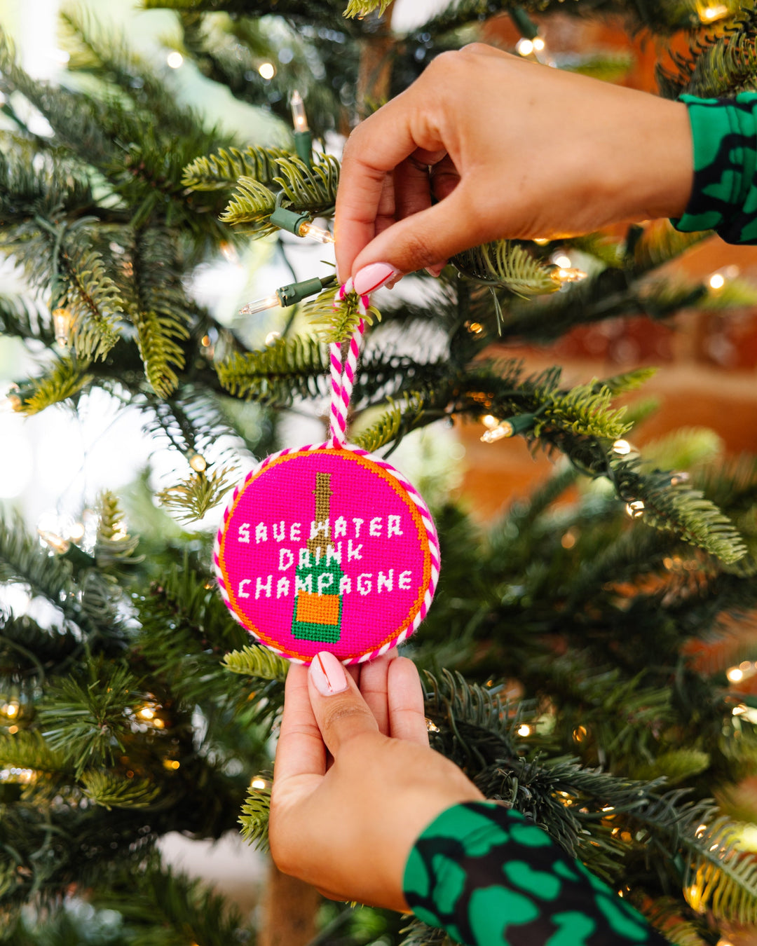 Needlepoint Ornament - Save Water