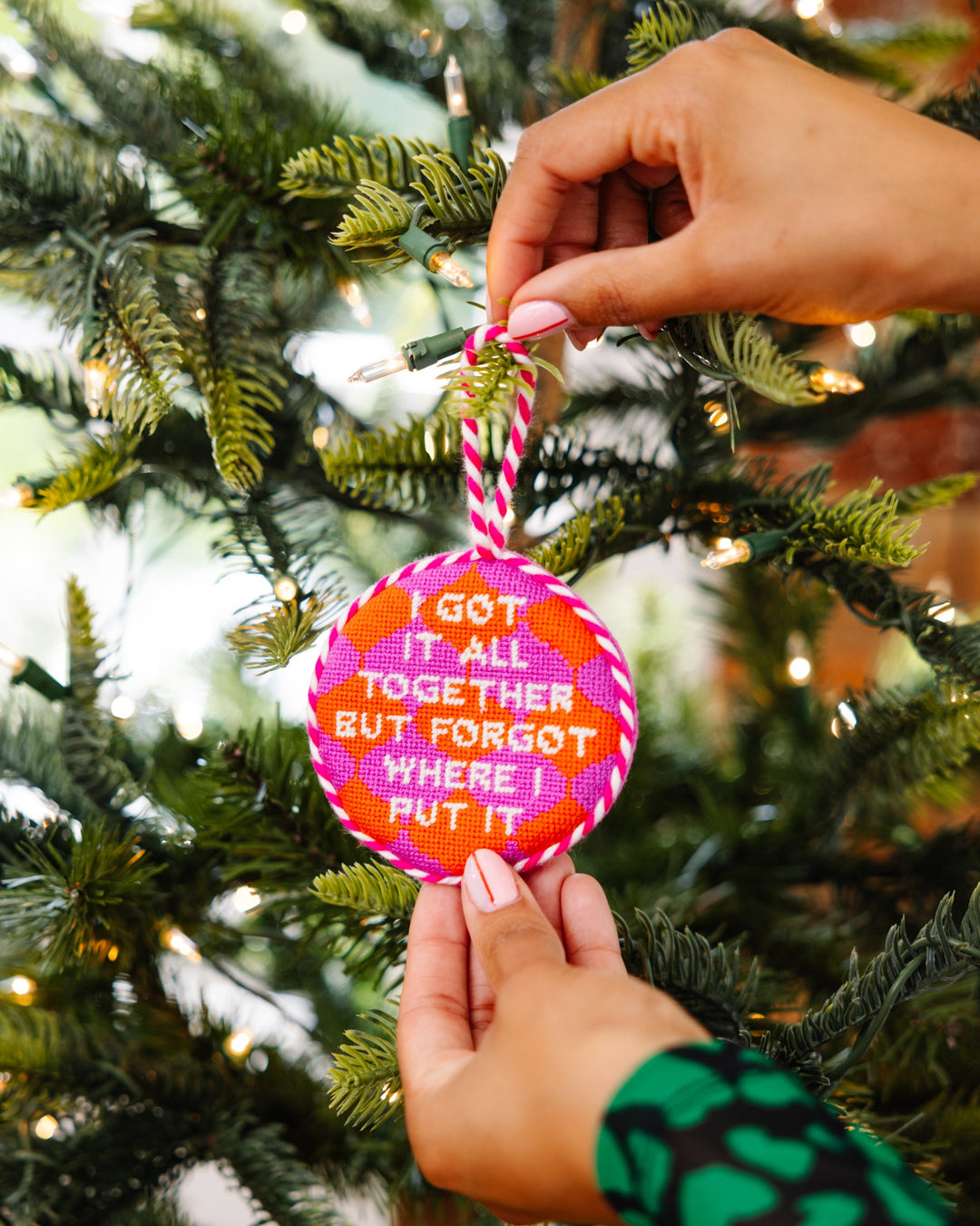 Needlepoint Ornament - Got It All Together