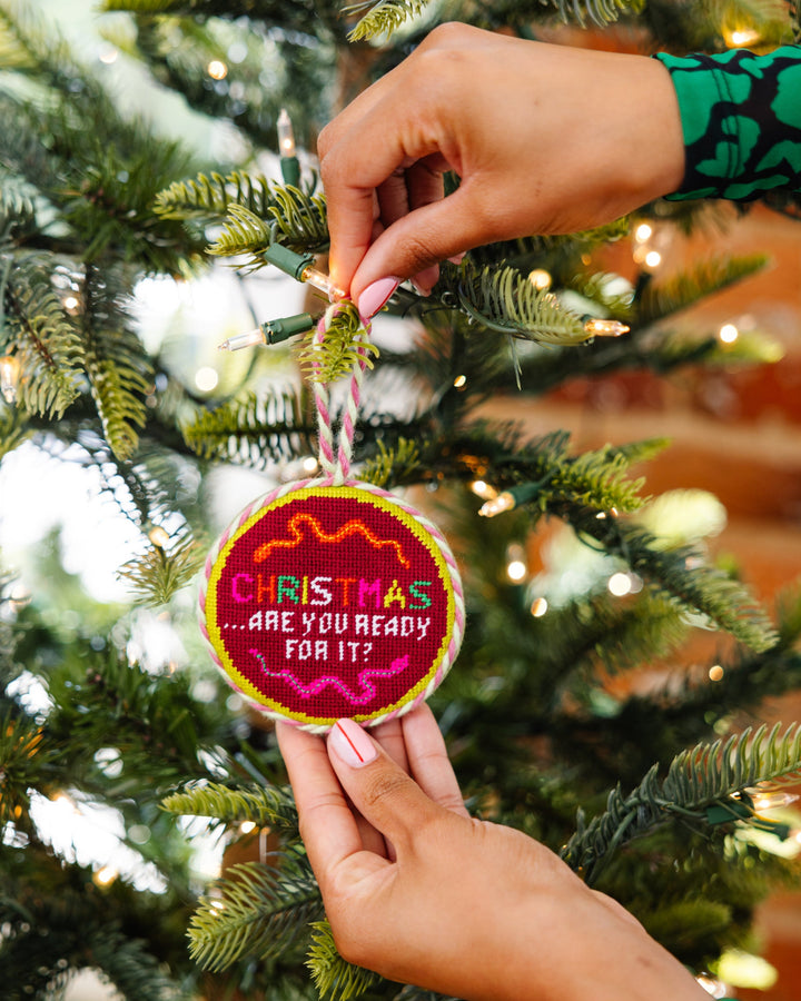 Needlepoint Ornament - Ready For It