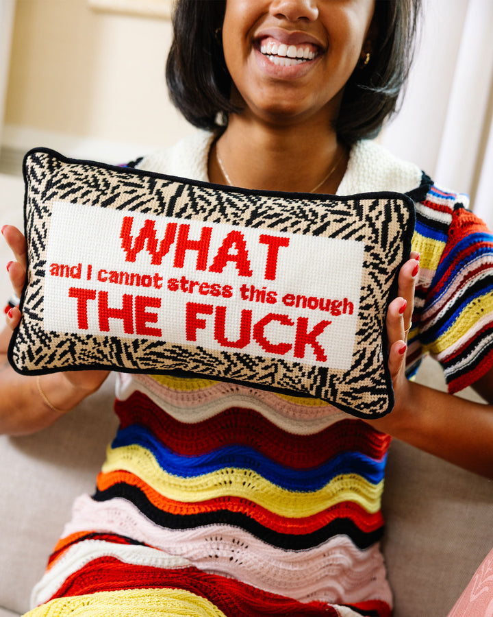 WTF Needlepoint Pillow