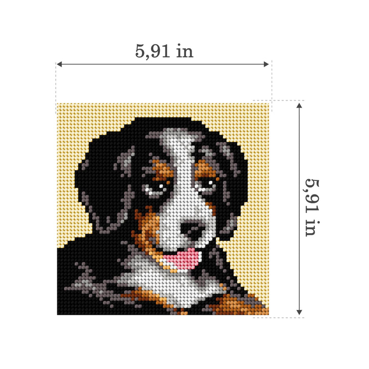 Gobelin canvas for halfstitch without yarn Bernese Mountain Dog 2721D