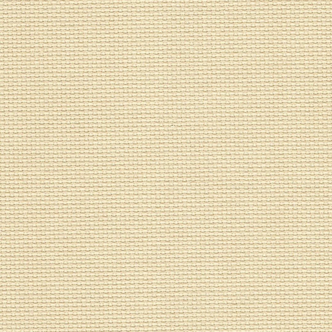 Precut Zweigart Aida 3251/3740 Beige