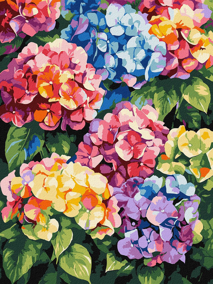 Painting by Numbers kit Multicolored hydrangeas KHO3299
