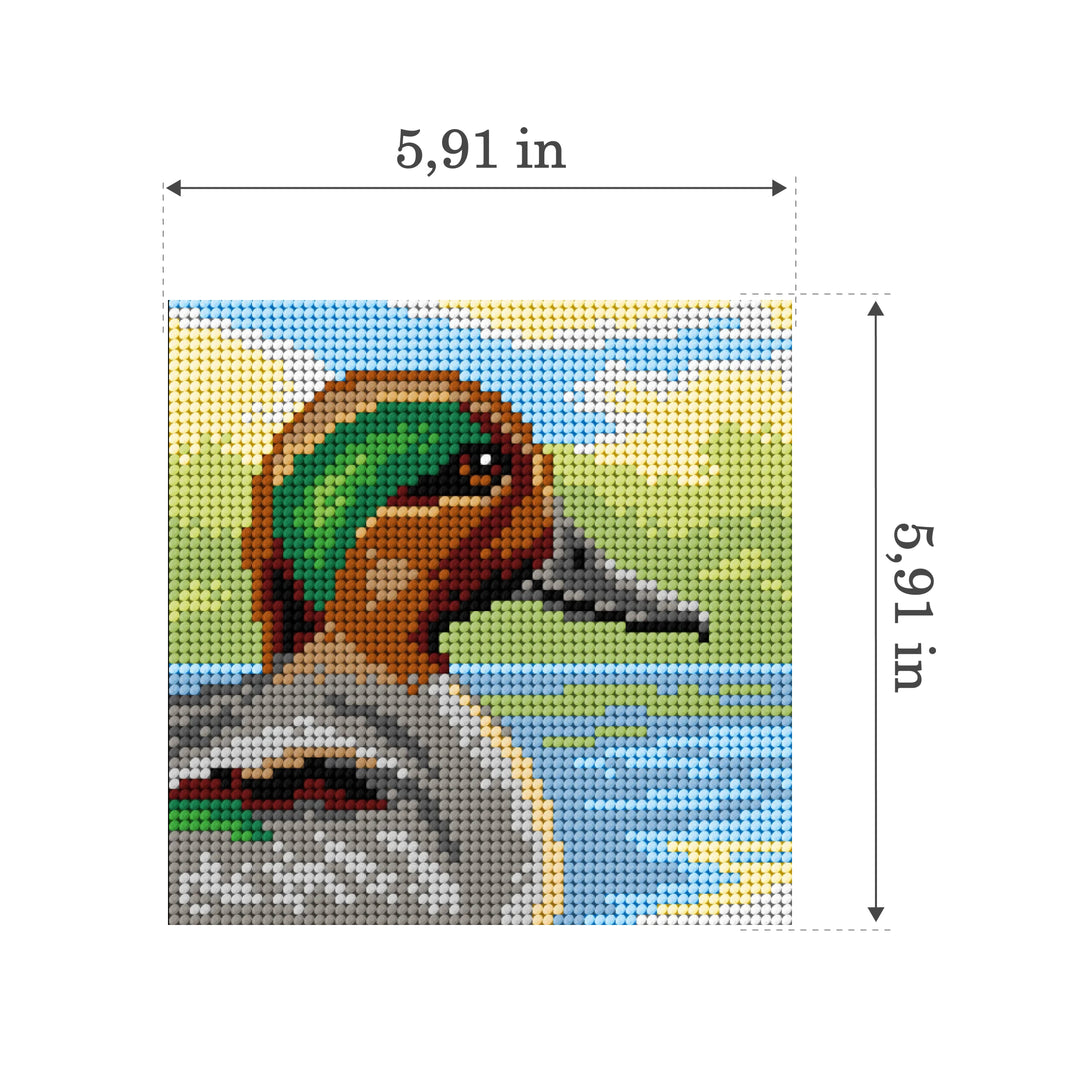 Gobelin canvas for halfstitch without yarn Teal Duck 3512D