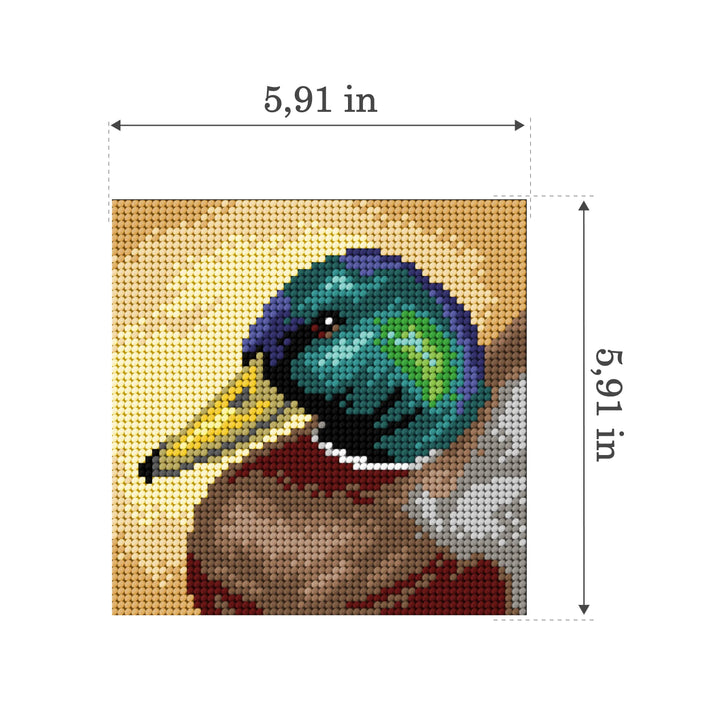 Gobelin canvas for halfstitch without yarn Mallard Duck 3513D