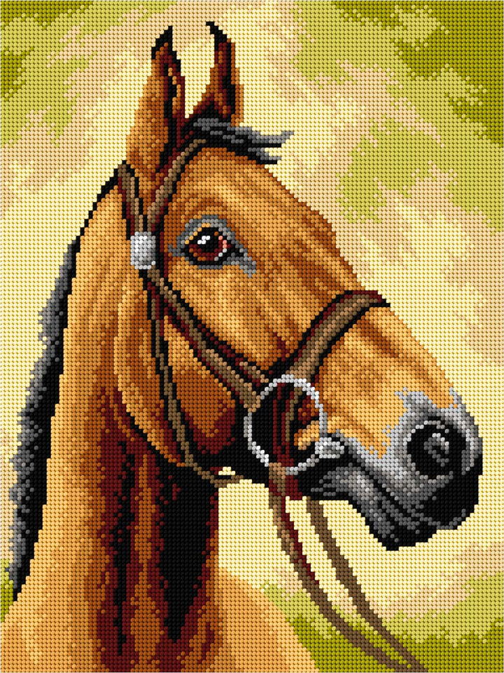 Horse Gobelin Canvas for Half Stitch by Orchidea 3593J