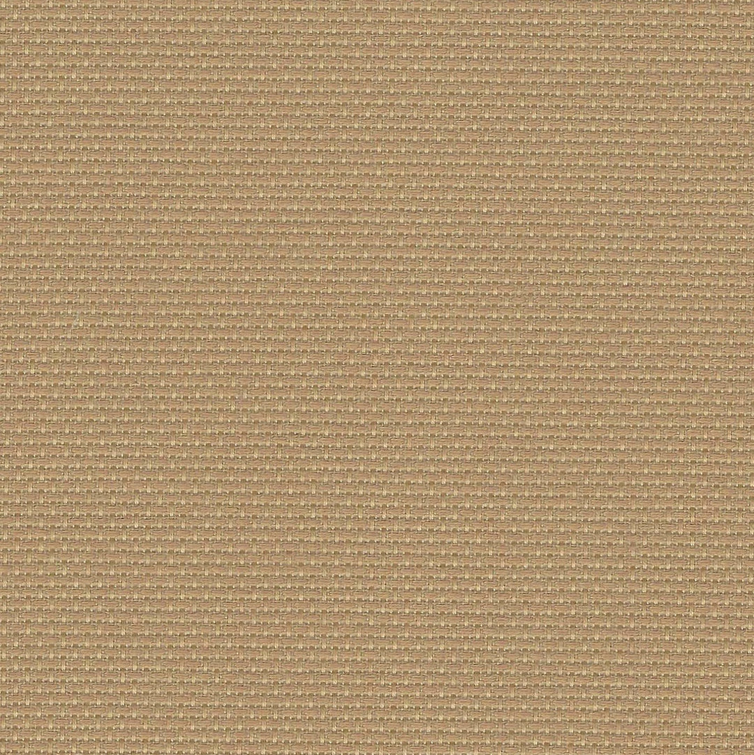 Precut Stern-Aida 14 count Dirty 3706/300