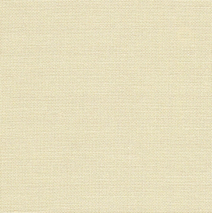 Precut  Zweigart Murano 32 count Platinum 3984/770