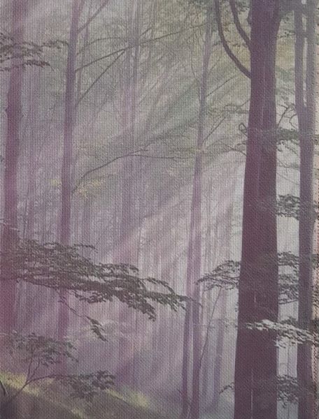 Enchanted Forest Designer Printed AIDA Fabric. Canvas for embroidery with an applied background  KF-1114A