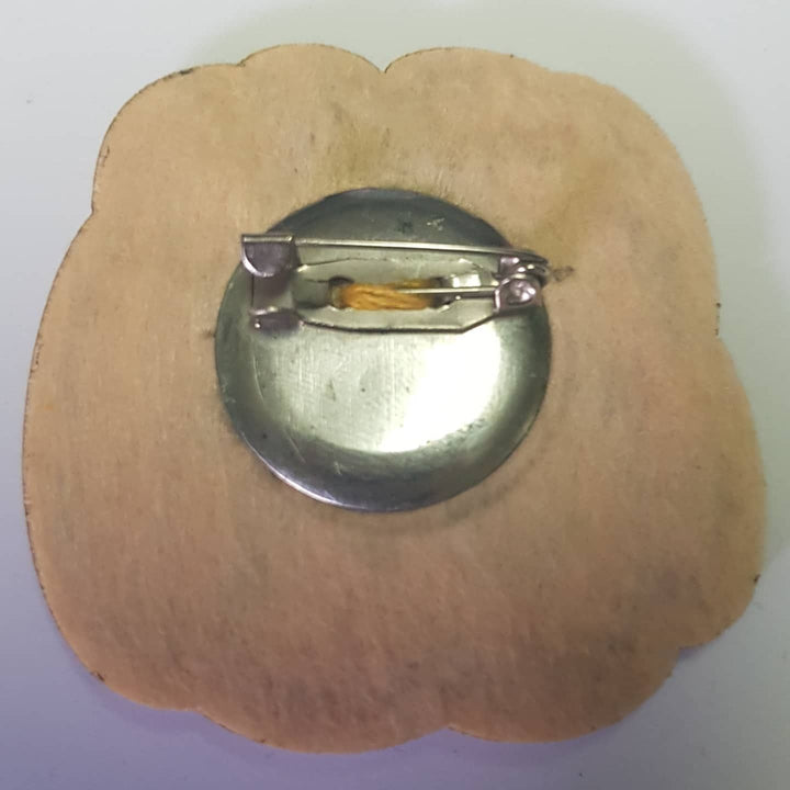 Pumpkin Counted cross stitch kit 5579A