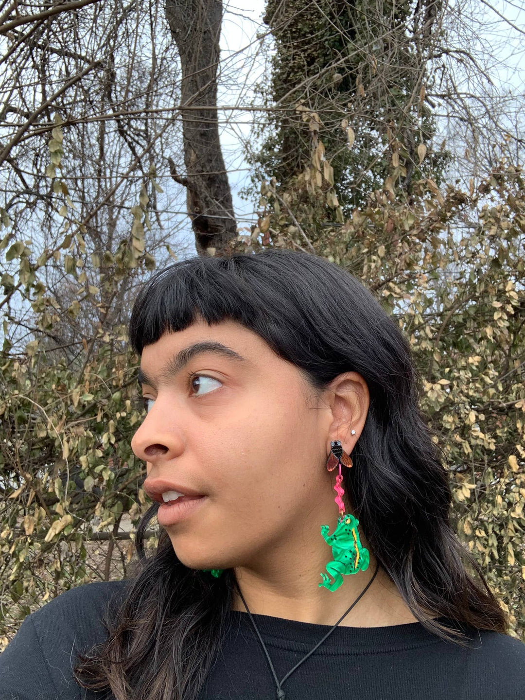 Frog and Fly Acrylic Statement Earrings
