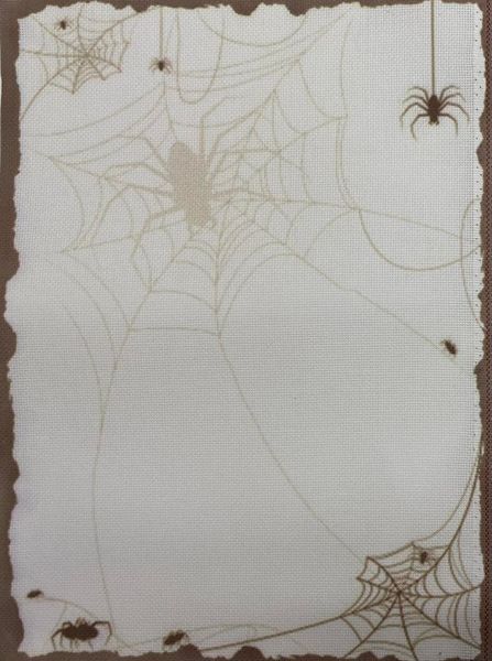 Web of Shadows Designer Printed AIDA Fabric. Canvas for embroidery with an applied background  KF-1375A