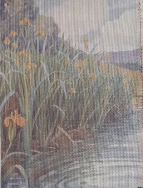 Riverside Reeds Designer Printed AIDA Fabric. Canvas for embroidery with an applied background  KF-1118A
