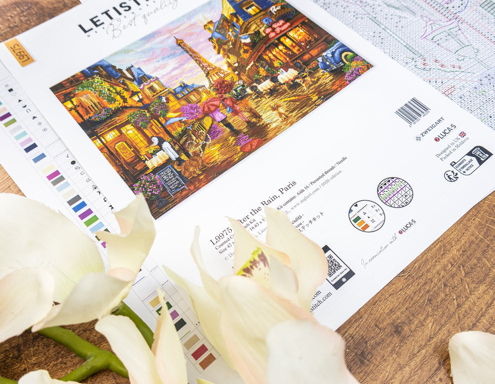After the Rain, Paris Counted Cross Stitch Kit by Letistitch L9975