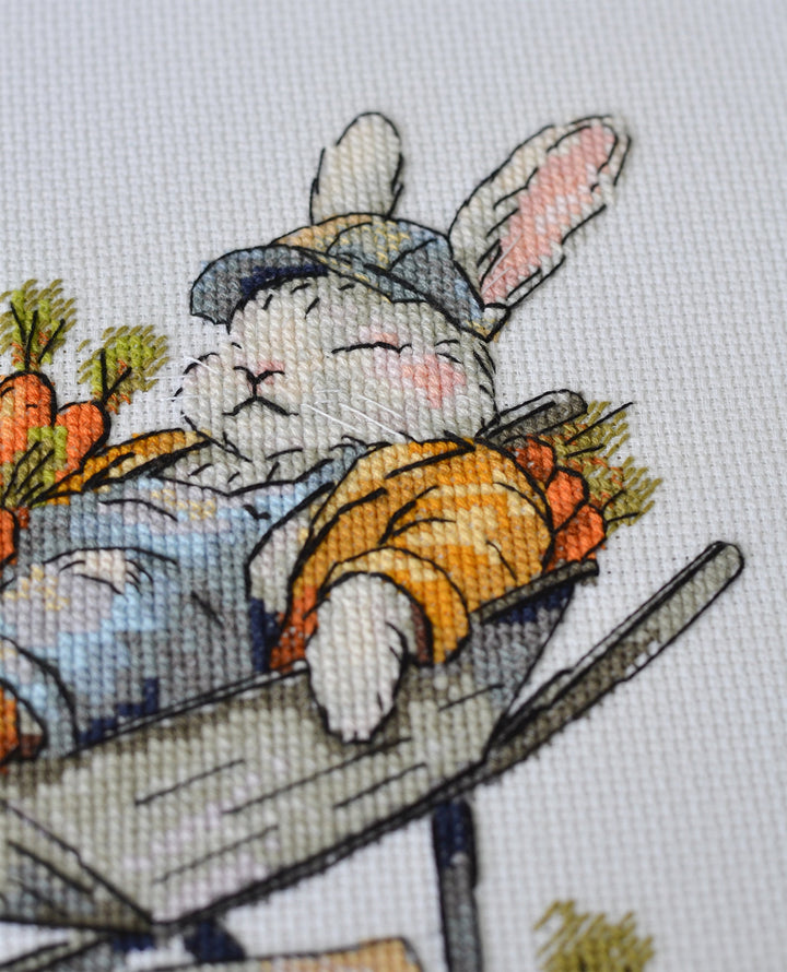 Cross-stitch kit - Free carrots AH-288