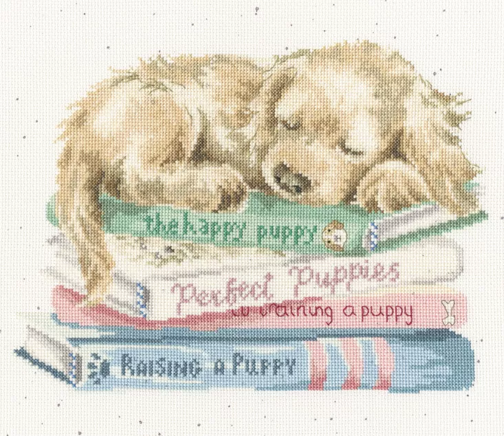 A Pup's Life Counted Cross Stitch Kit by Bothy Threads XHD153