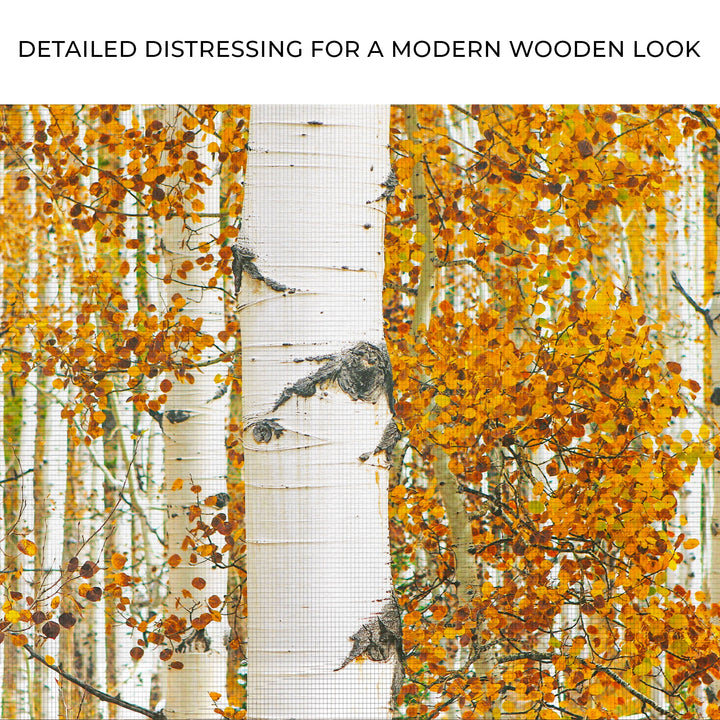 Autumn Tree Barks Canvas Wall Art