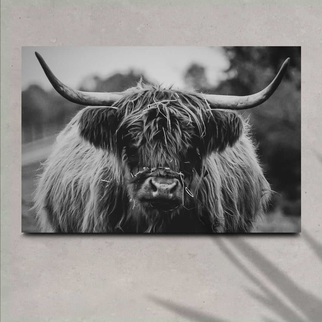 Highland Cow Rustic Gray Canvas Wall Art