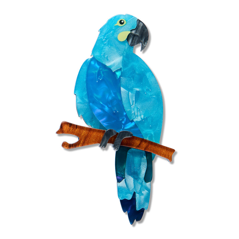 Glaucous Macaw Brooch by Erstwilder