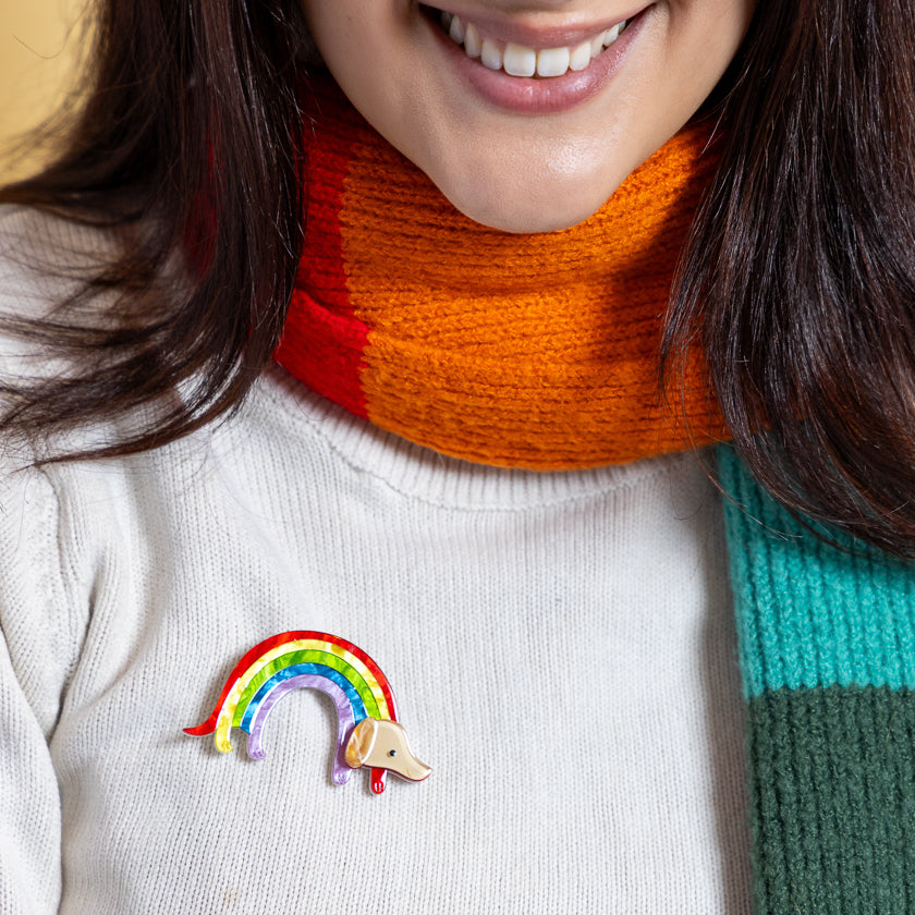 Rainbow Ruff Brooch by Erstwilder - back detail view