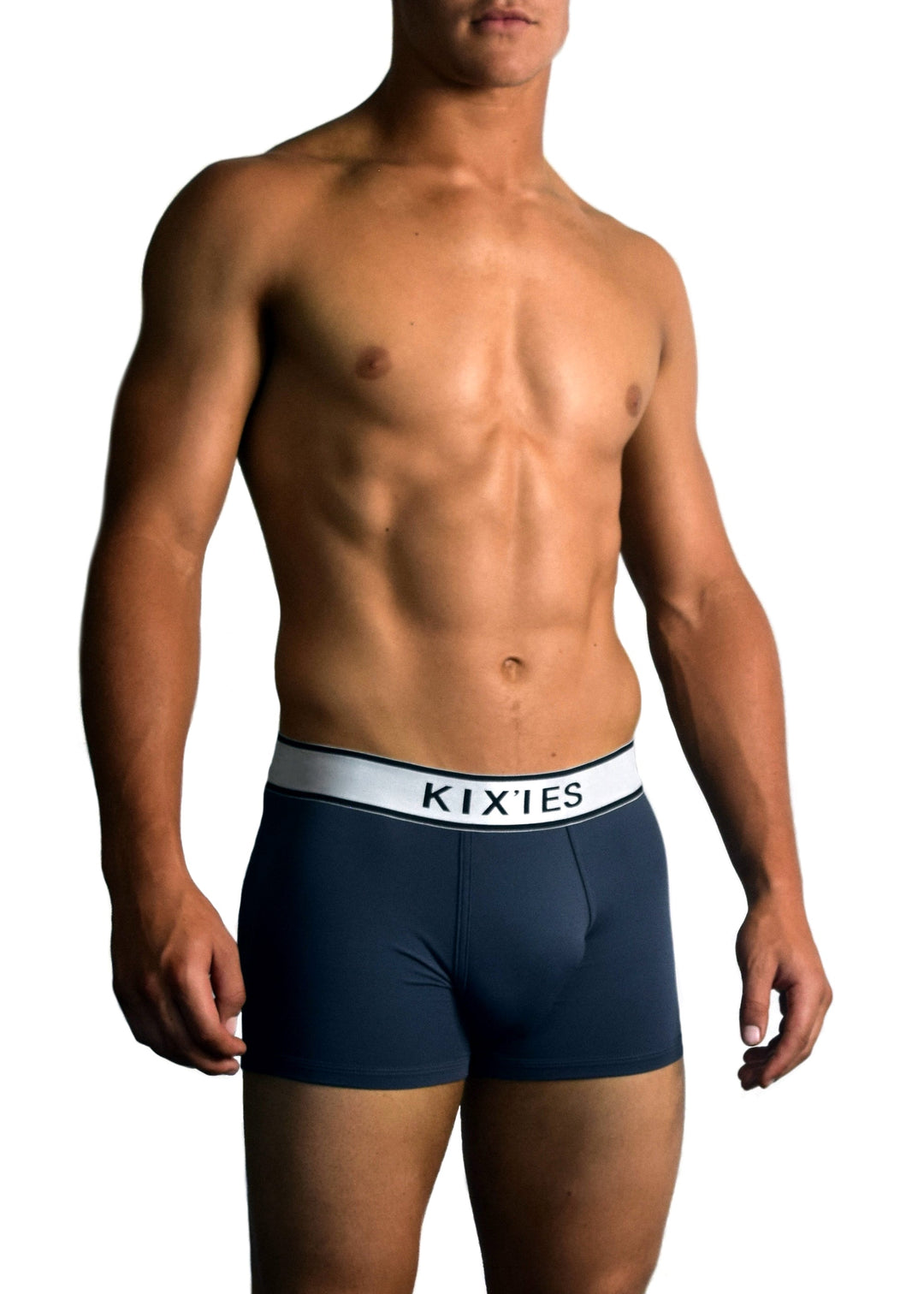 Mens Mesh Trunks - Grey