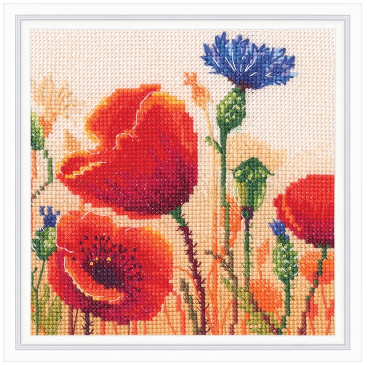 Summer poppyhead C370 Counted Cross Stitch Kit