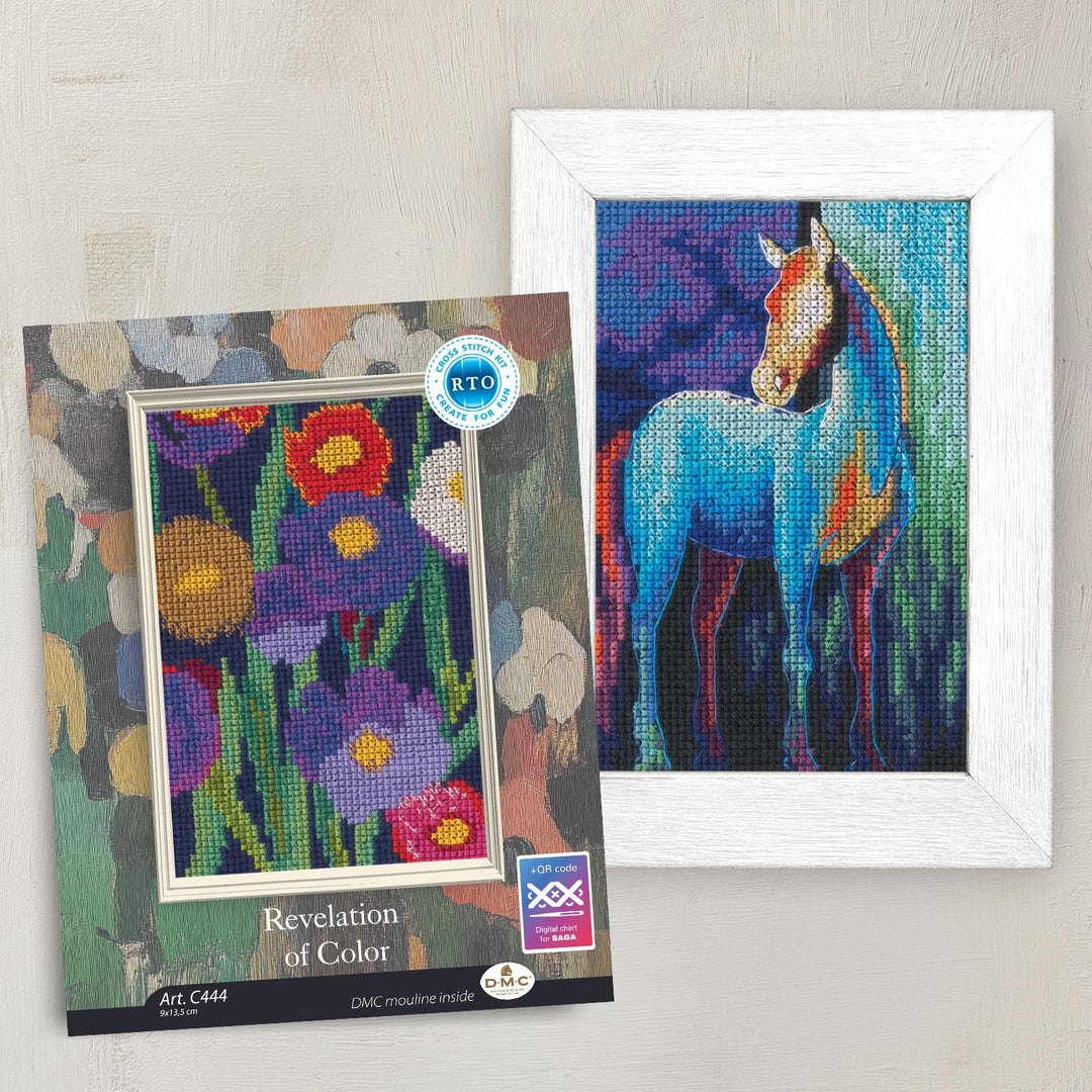 Revelation of Color Counted Cross Stitch Kit by RTO C448
