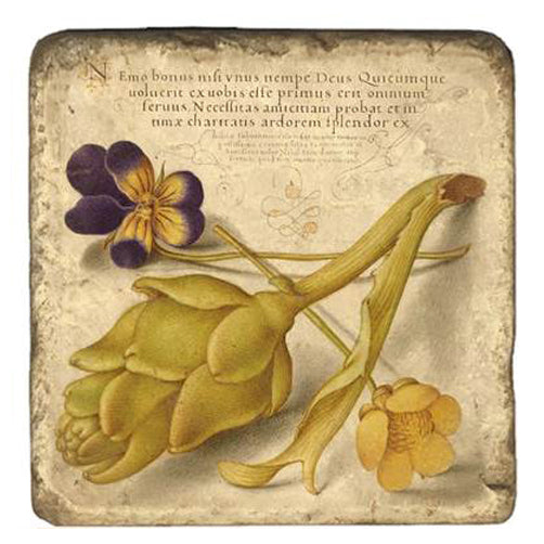 Joris Hoefnagel Coasters