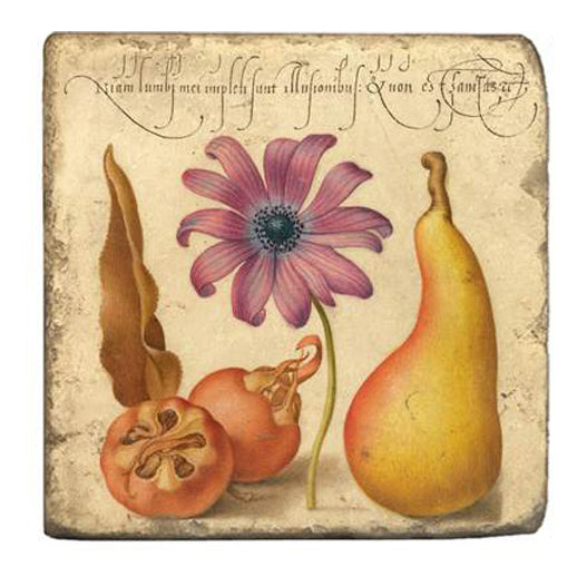 Joris Hoefnagel Coasters