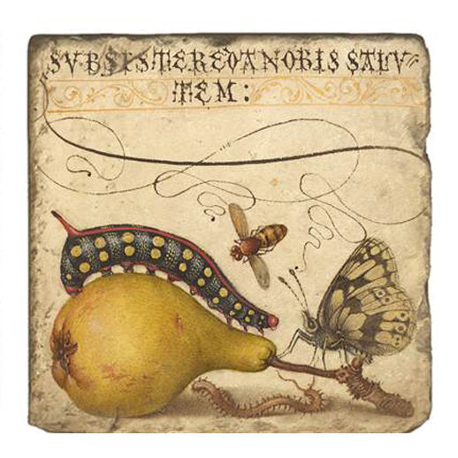Joris Hoefnagel Coasters