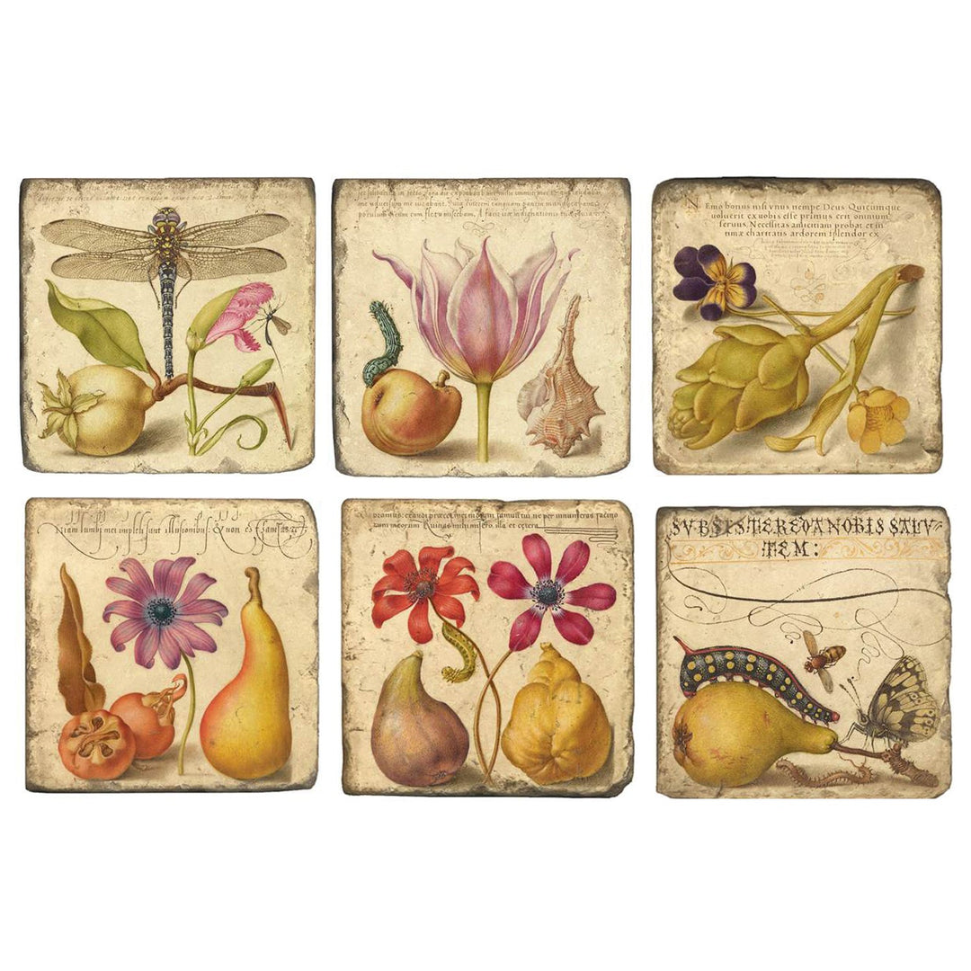 Joris Hoefnagel Coasters