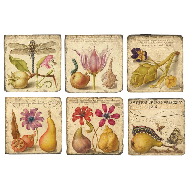 Joris Hoefnagel Coasters