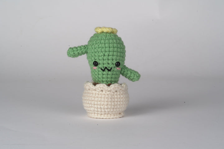 Amigurumi DIY Crochet Kit Wizardi F07N8-M253