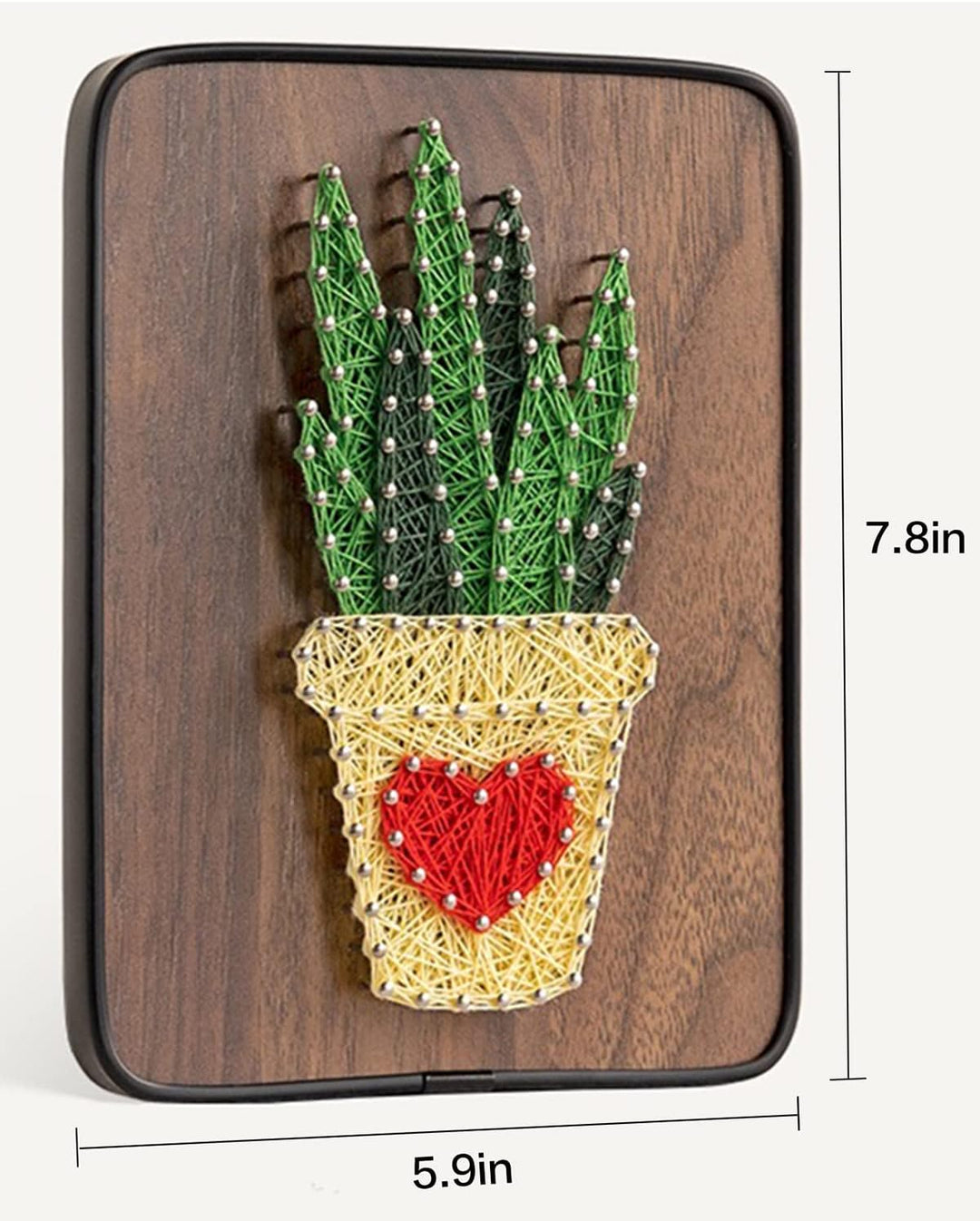 String Art DIY Kit - Aloe. Wizardi Craft Kit F07-M12-3-DH9004