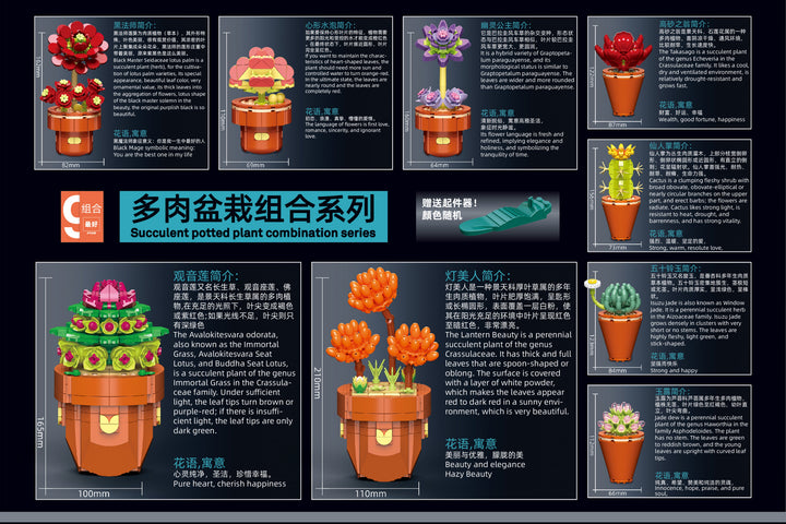 Succulents Building Brick Potted Plant Kit by Wizardi F07N11-13-4(118)