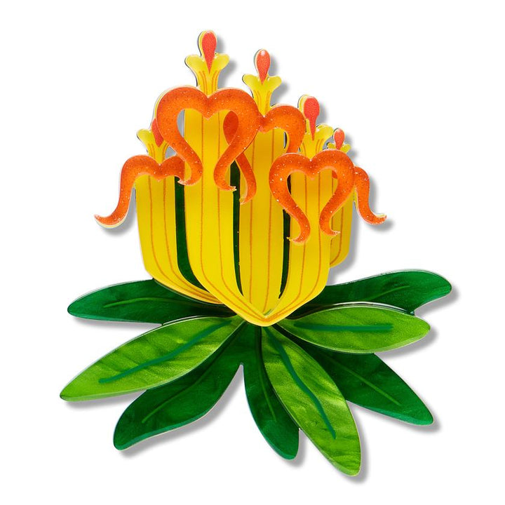 Long-flower Mistletoe Brooch enamel brooch by Erstwilder x Royal Botanic Gardens Victoria – front view