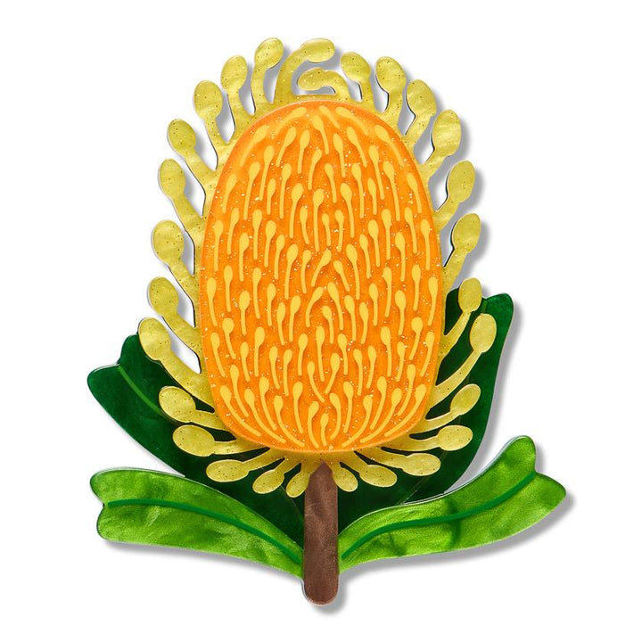 Mountain Banksia Brooch enamel brooch by Erstwilder x Royal Botanic Gardens Victoria – front view