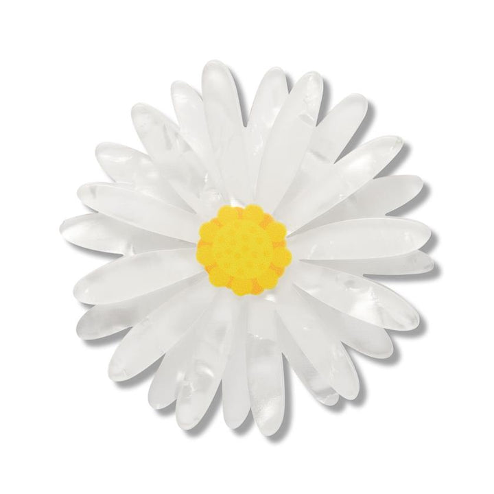 Cut-leaf Daisy Simplified Mini Brooch reverse side showing gold-tone pin clasp detail