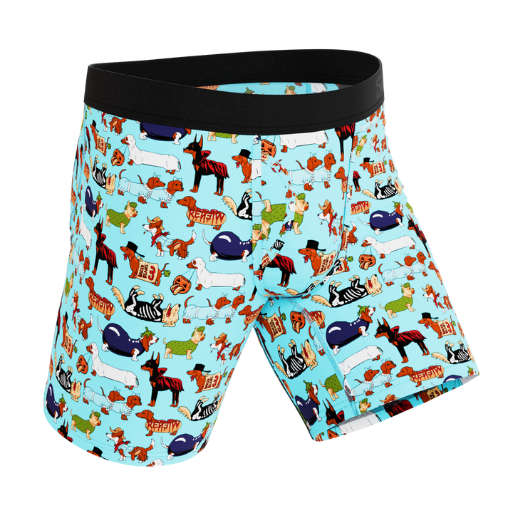 The Halloweenies | Halloween Dogs Ball Hammock® Boxer - Long Leg