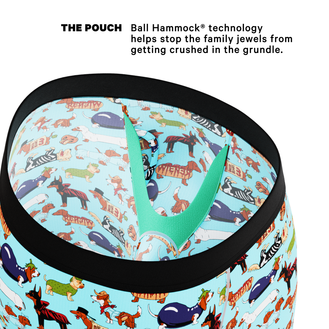 The Halloweenies | Halloween Dogs Ball Hammock® Boxer - Long Leg