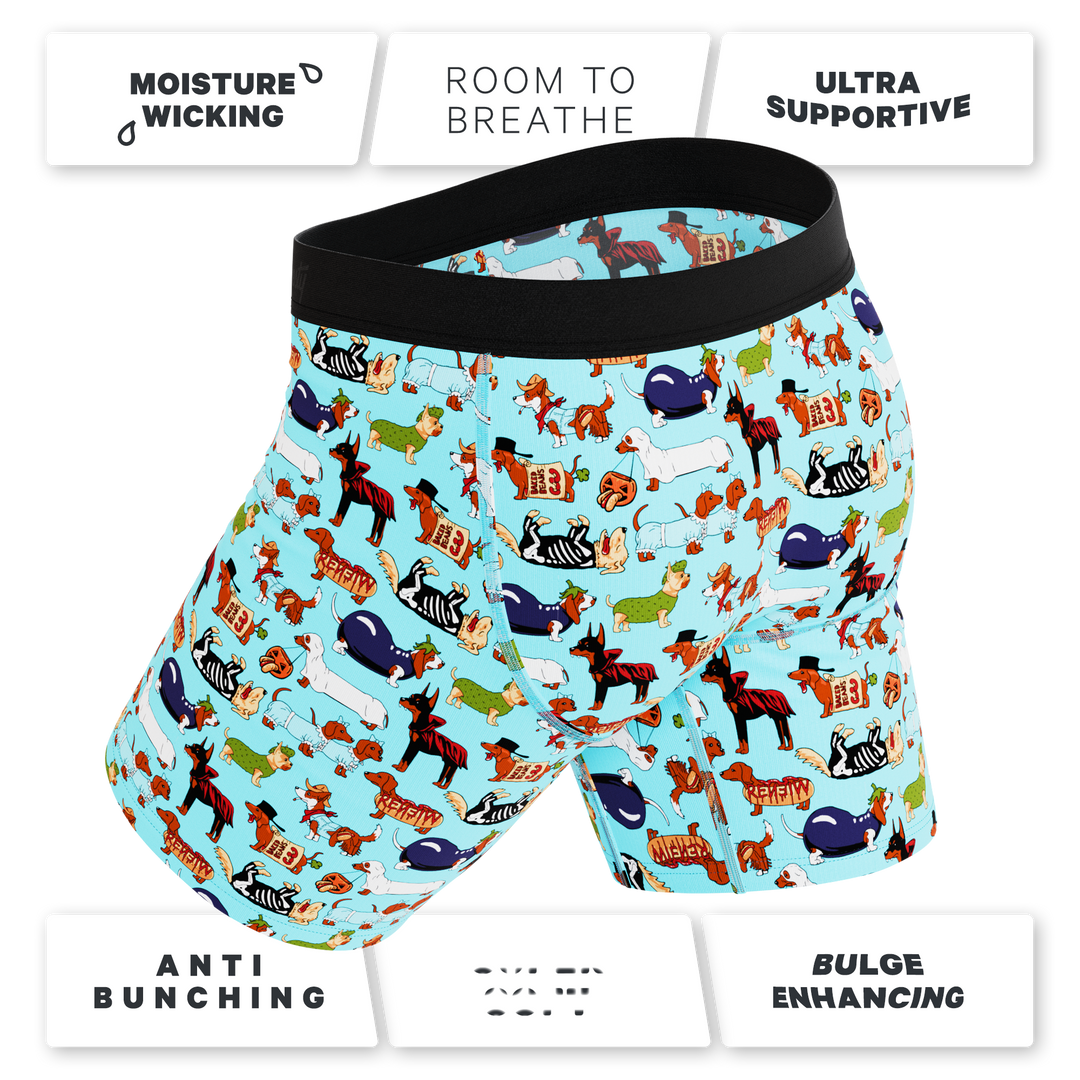 The Halloweenies | Halloween Dogs Ball Hammock® Boxer - Long Leg