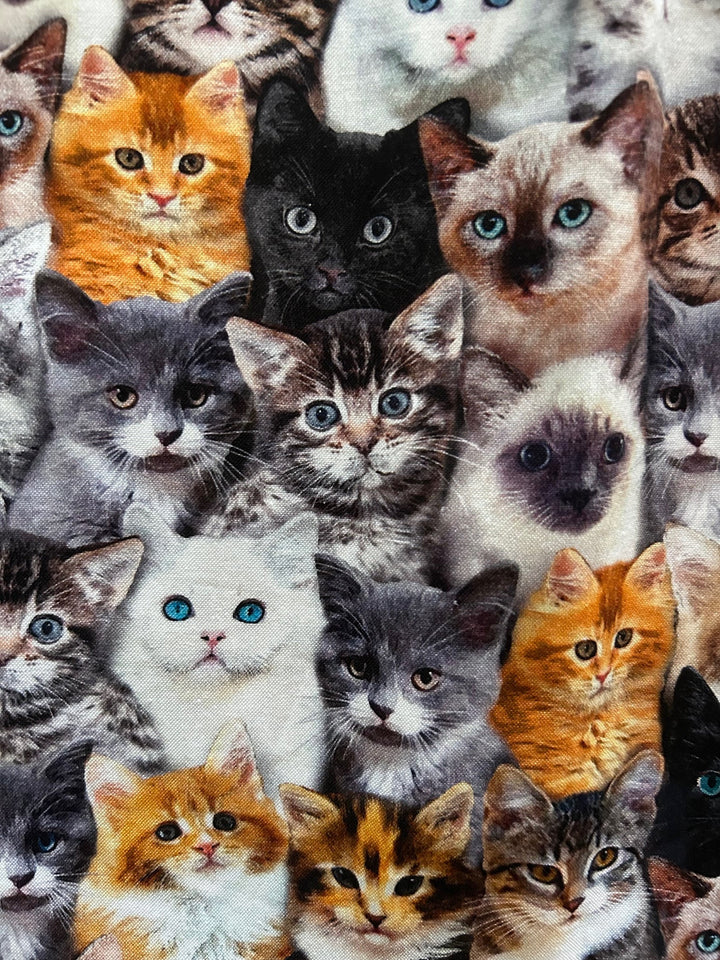 Realistic Cats Fit & Flare Dress