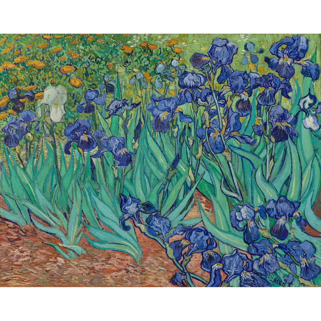 Van Gogh Irises Folding Hand Fan