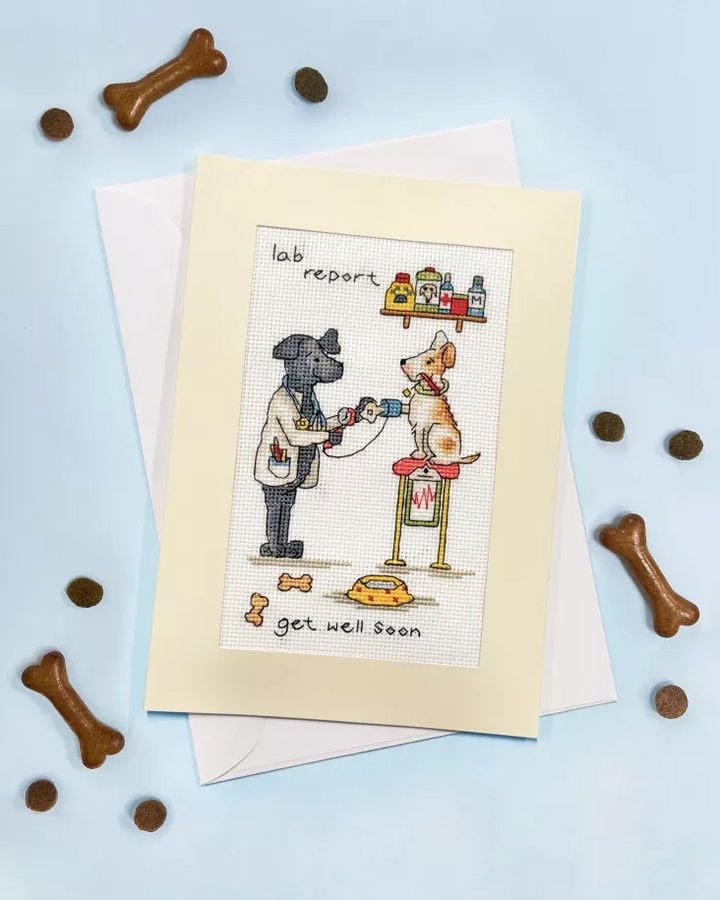 Lab Report Greeting Card Counted Cross Stitch Kit by Bothy Threads XGC63