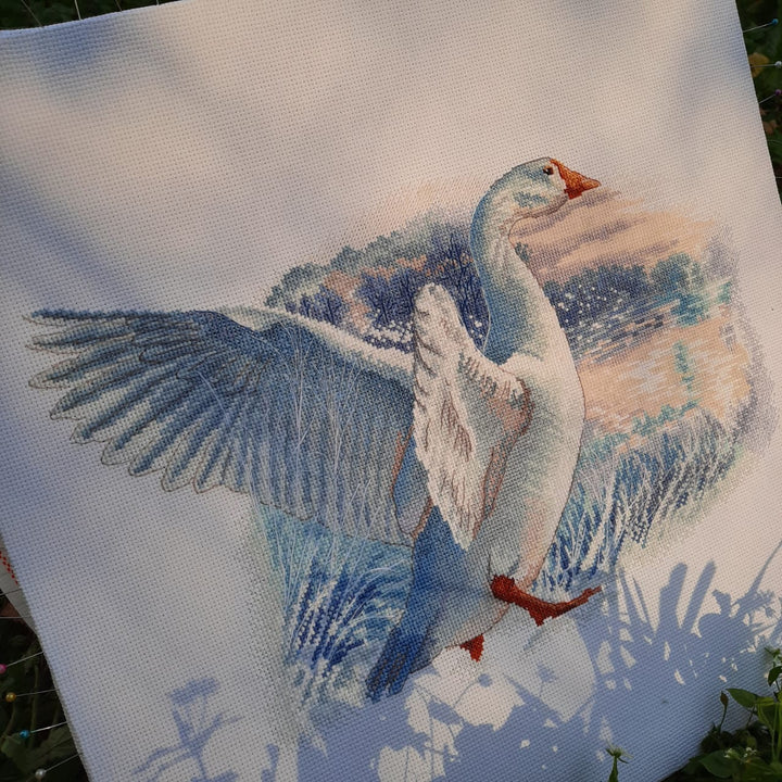 Snow goose M855 Counted Cross Stitch Kit