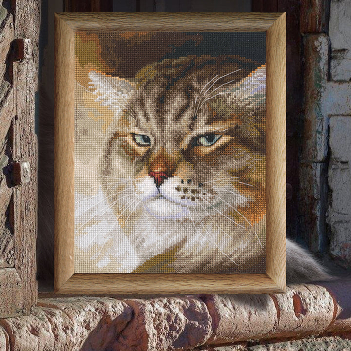 Sly and extremely beautiful. ''MACHO'' M995 Counted Cross Stitch Kit